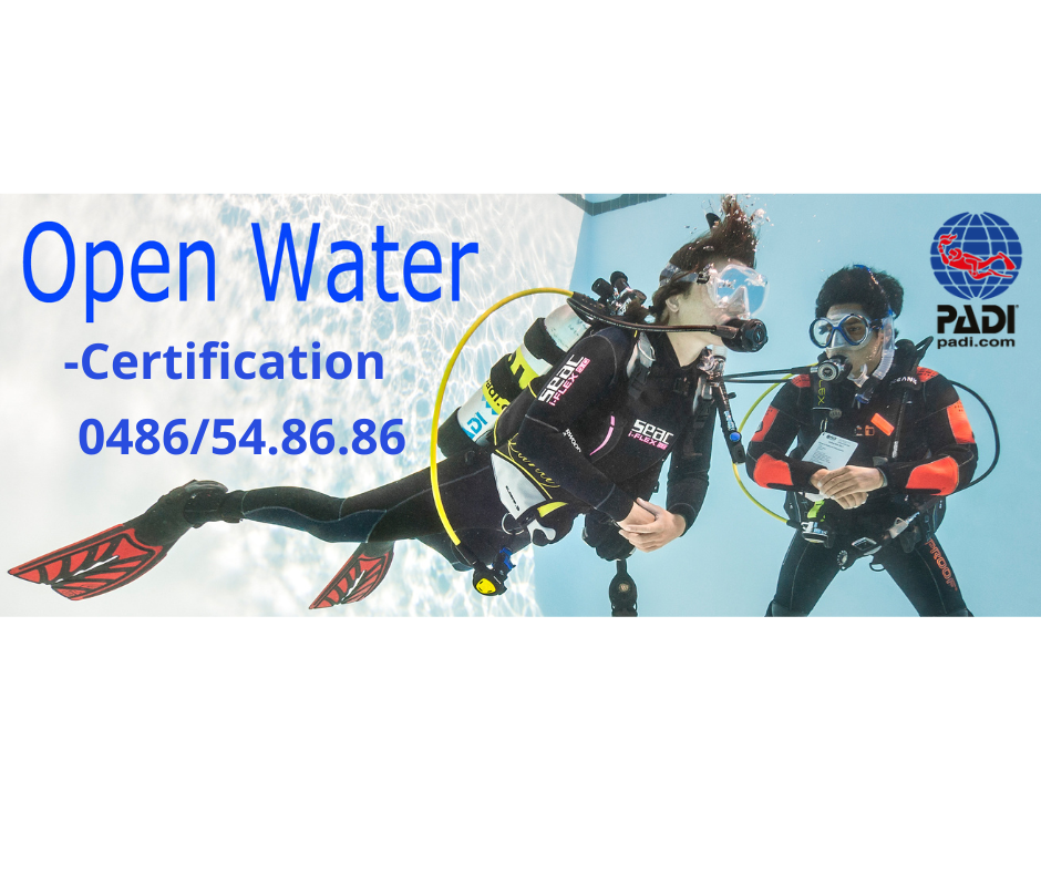 RedBak Diving School | Dinant