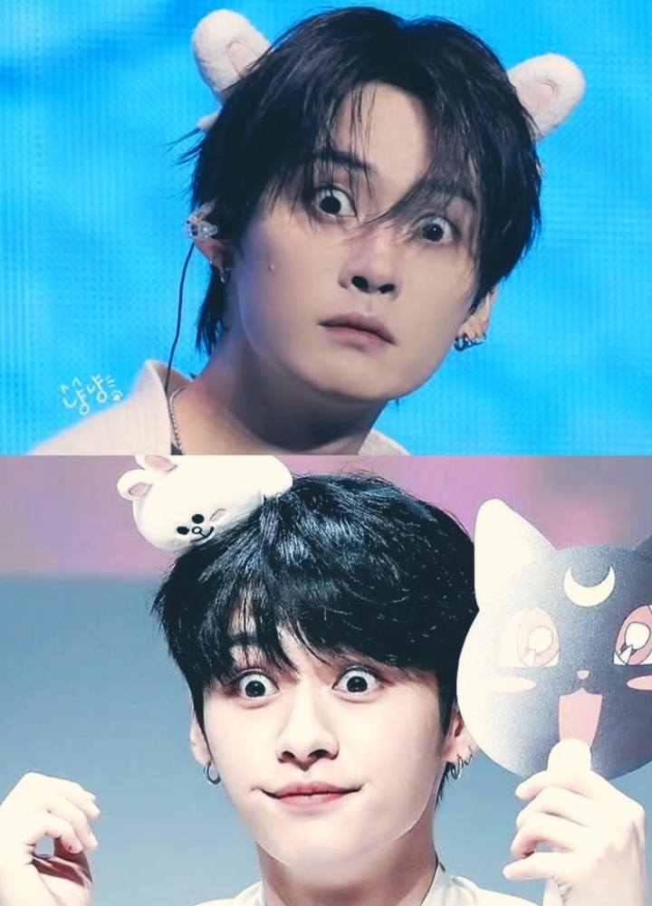 leeknow with leebit 🥺🤍✨️ #StrayKids #stay #leeknow