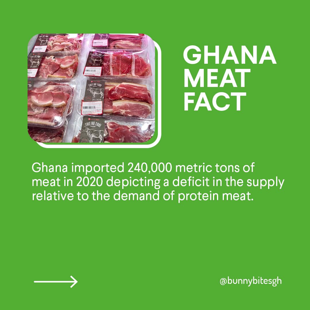 BunnyBites GH. | Kumasi