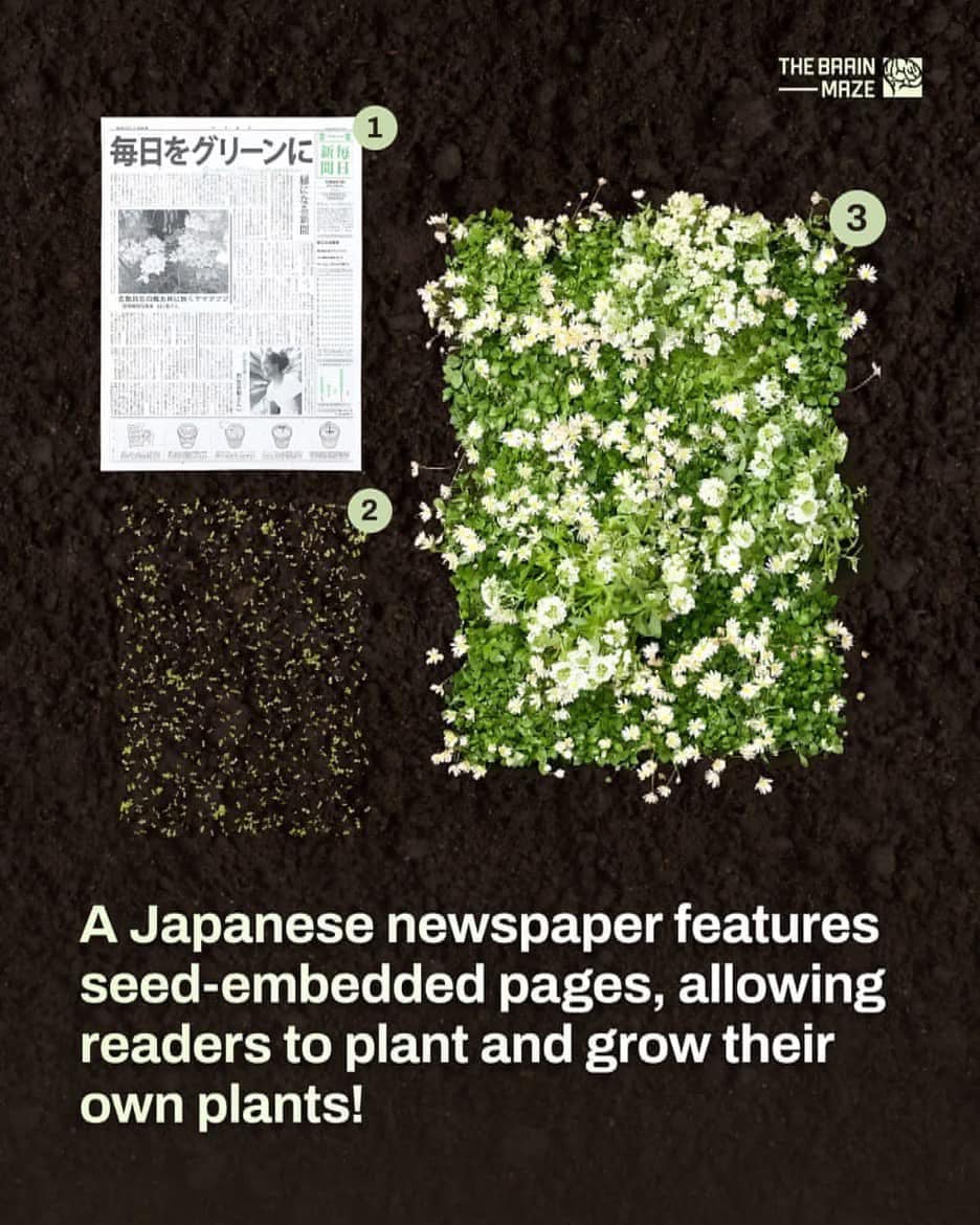 Unique souvenir in Japan: printed local newspaper front page
