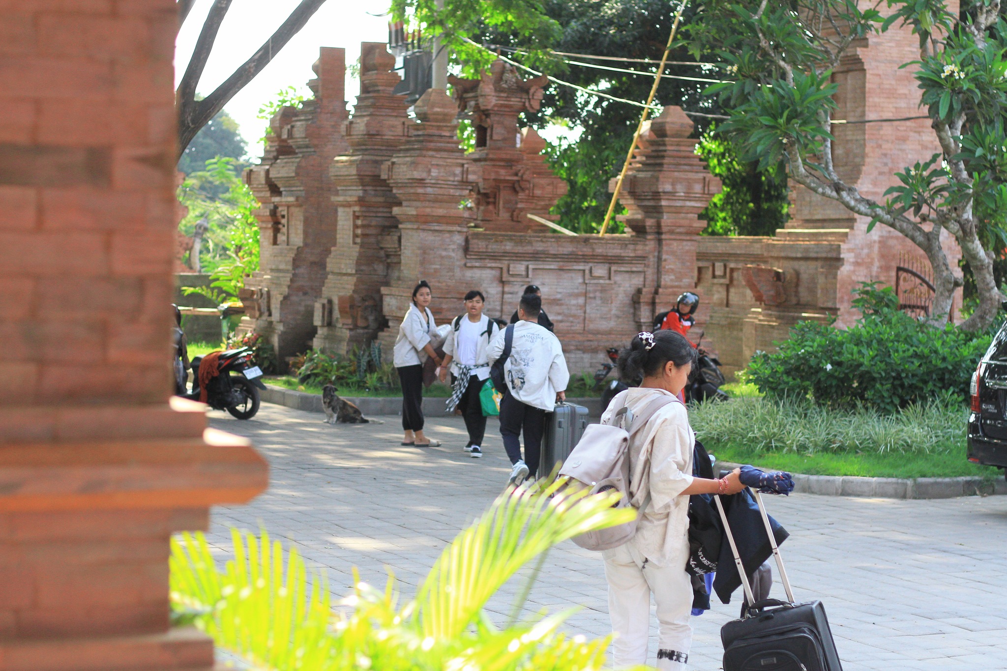SMA Negeri 9 Denpasar | Denpasar
