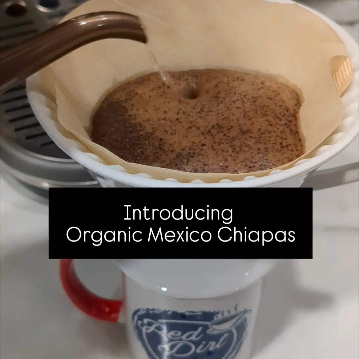 A roasted coffee that exalts the natural richness of the high