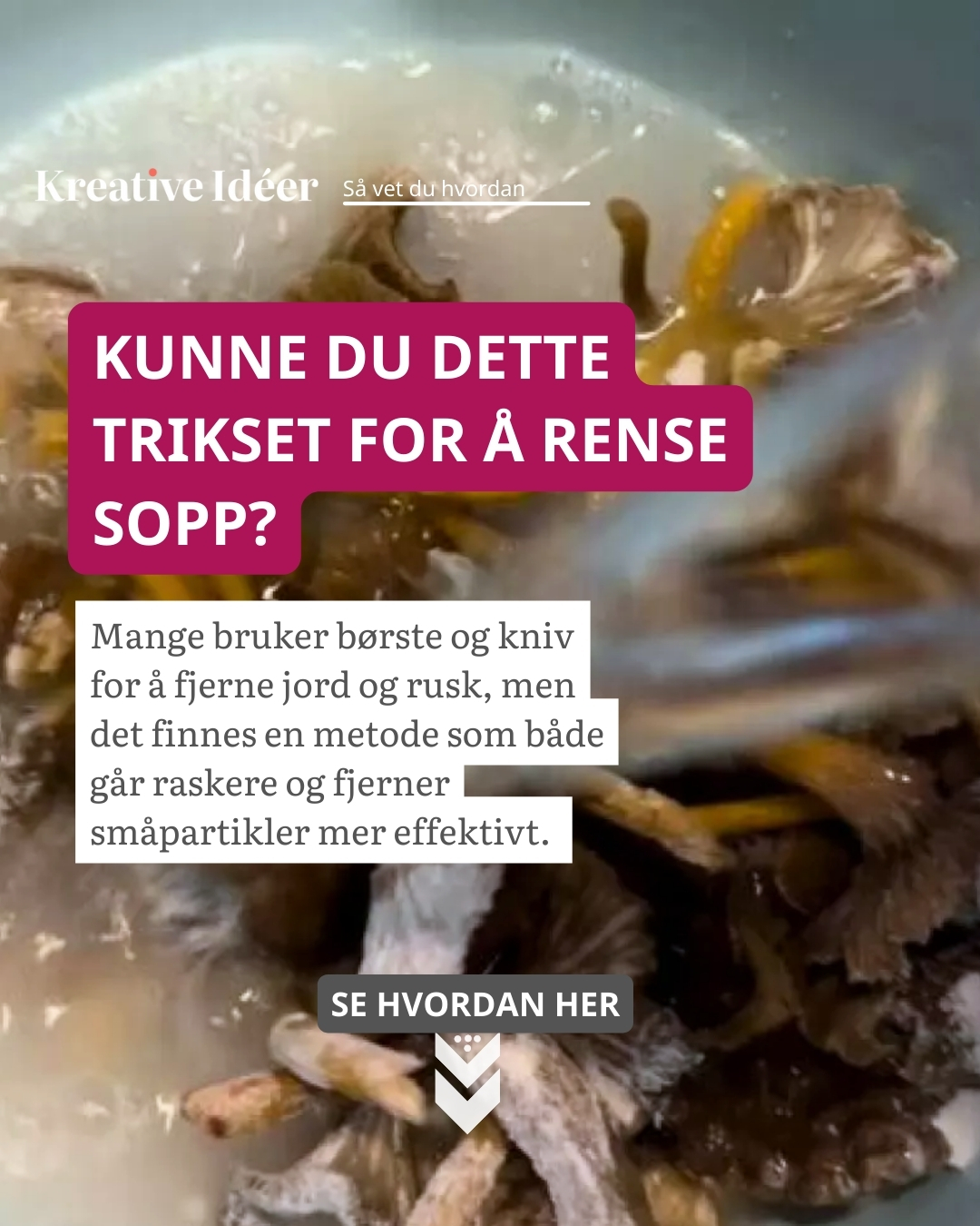 Har du prøvd å vaske soppen... - Kreative idéer - Vær Kreativ | Facebook