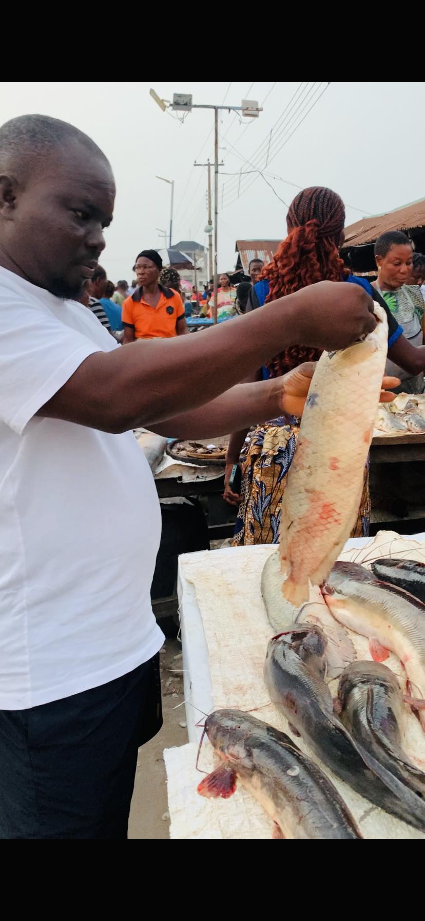 Jas - What can I use this fresh isoko native fish to cook? | Facebook