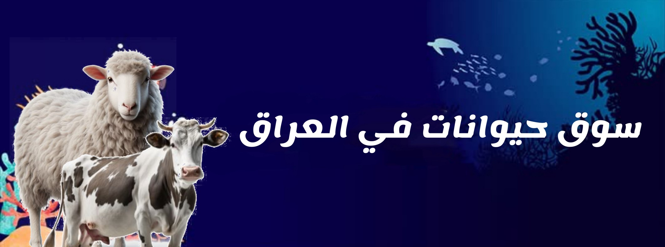 سوق حیوانات فی العراق | Baghdad