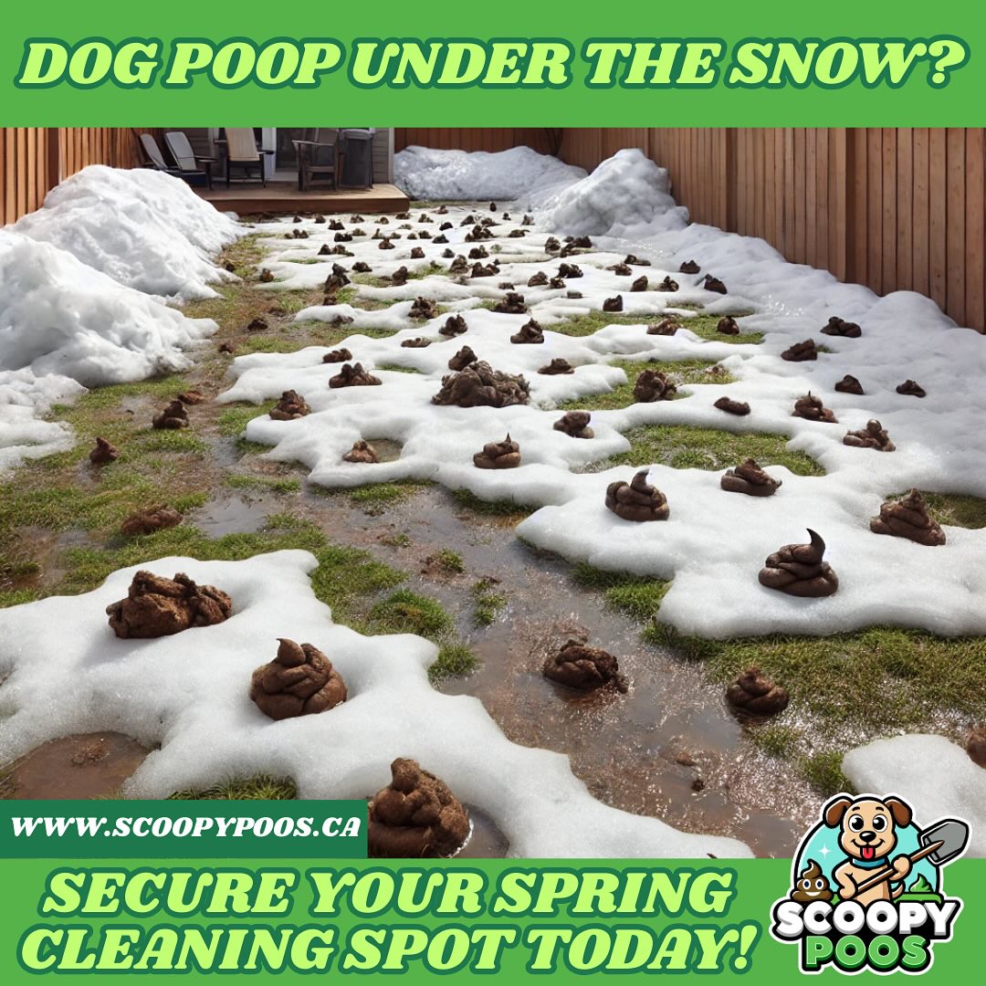 Scoopy Poos - 🚨 SPRING IS COMING… AND SO IS THE POOP! 🚨 🌱...