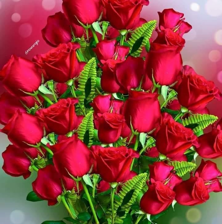 Roshan Rocky Raja