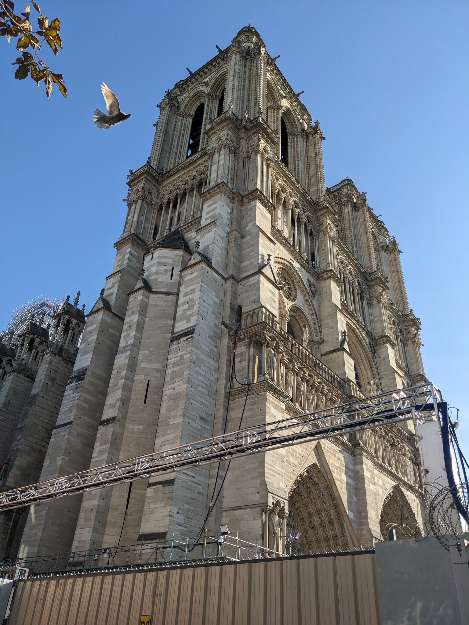 Quasimodo & His Cathedral Tours: Private Tours of Notre Dame de Paris ...