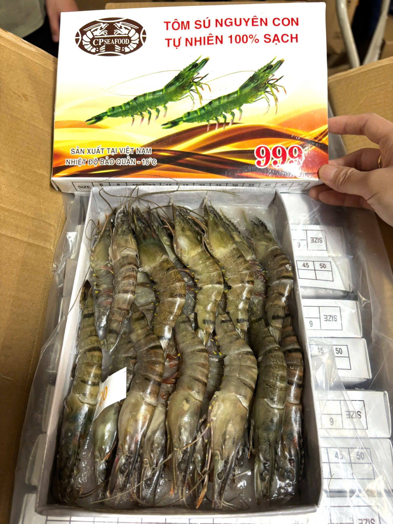 Sỉ - TÔM SÚ SIZE ĐẸP – NGON CHUẨN XUẤT KHẨU Size 15 con/kg – To, thịt ...