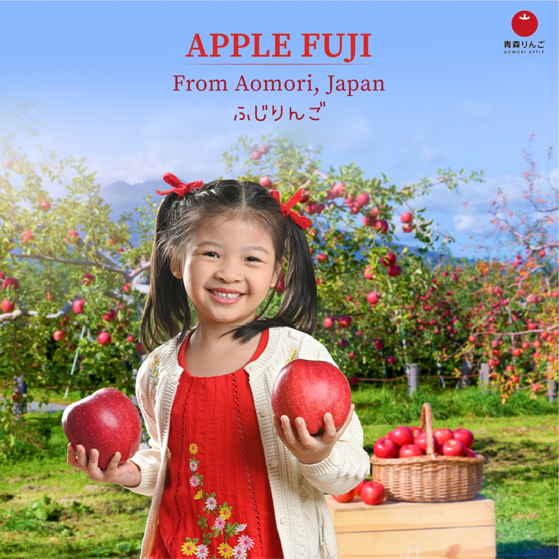 Heaviest apple grown in Japan weighed 1.849 kg