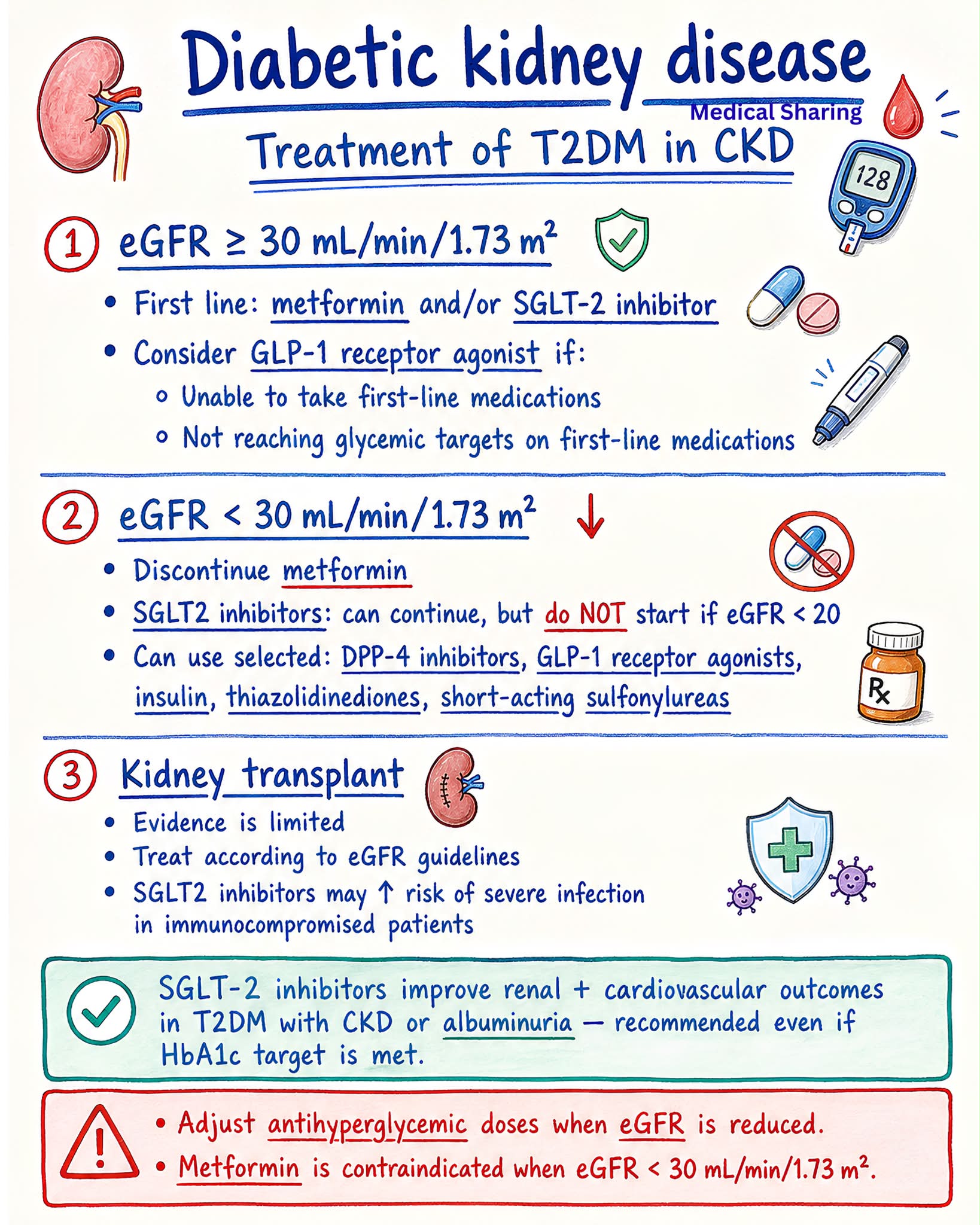 glp 1 in obesity GLP-1 Agonists For Non-Diabetic Patients: Game Changer Or Overhyped? A Critical Analysis GlobalRPH Tresiba glp-1 menu All about 箱　（30カプセル）:1 箱　通常プラン