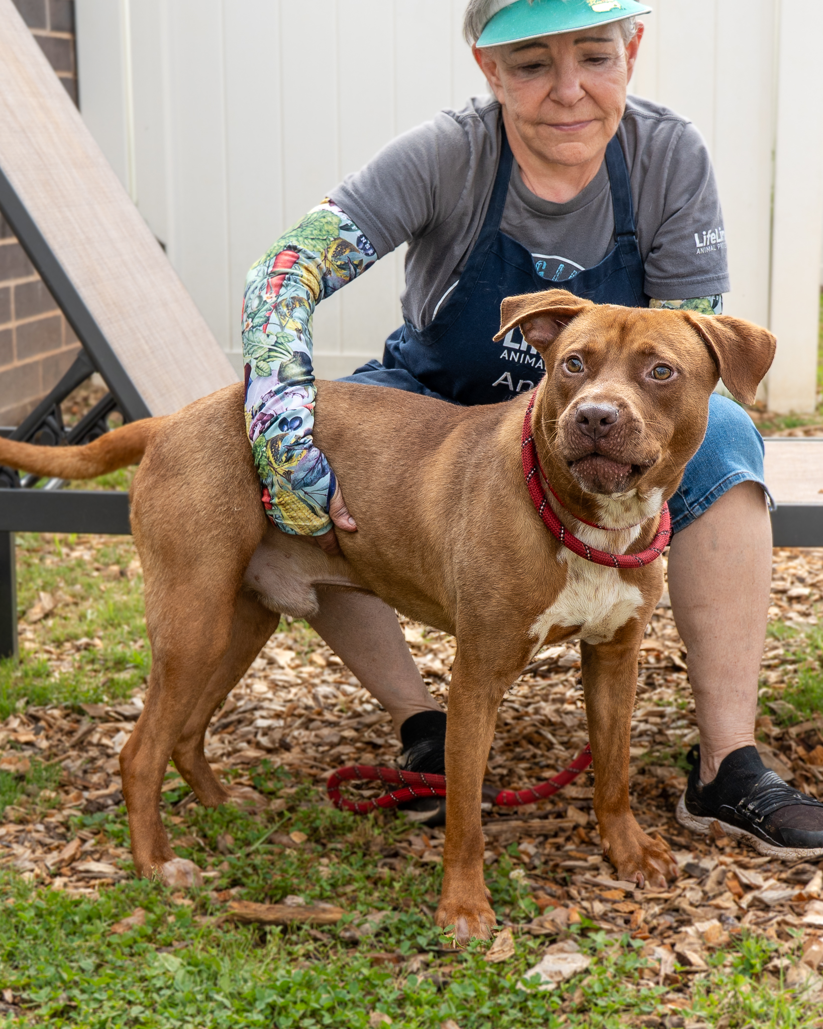 Urgent adoption needed for Trekkie in Atlanta