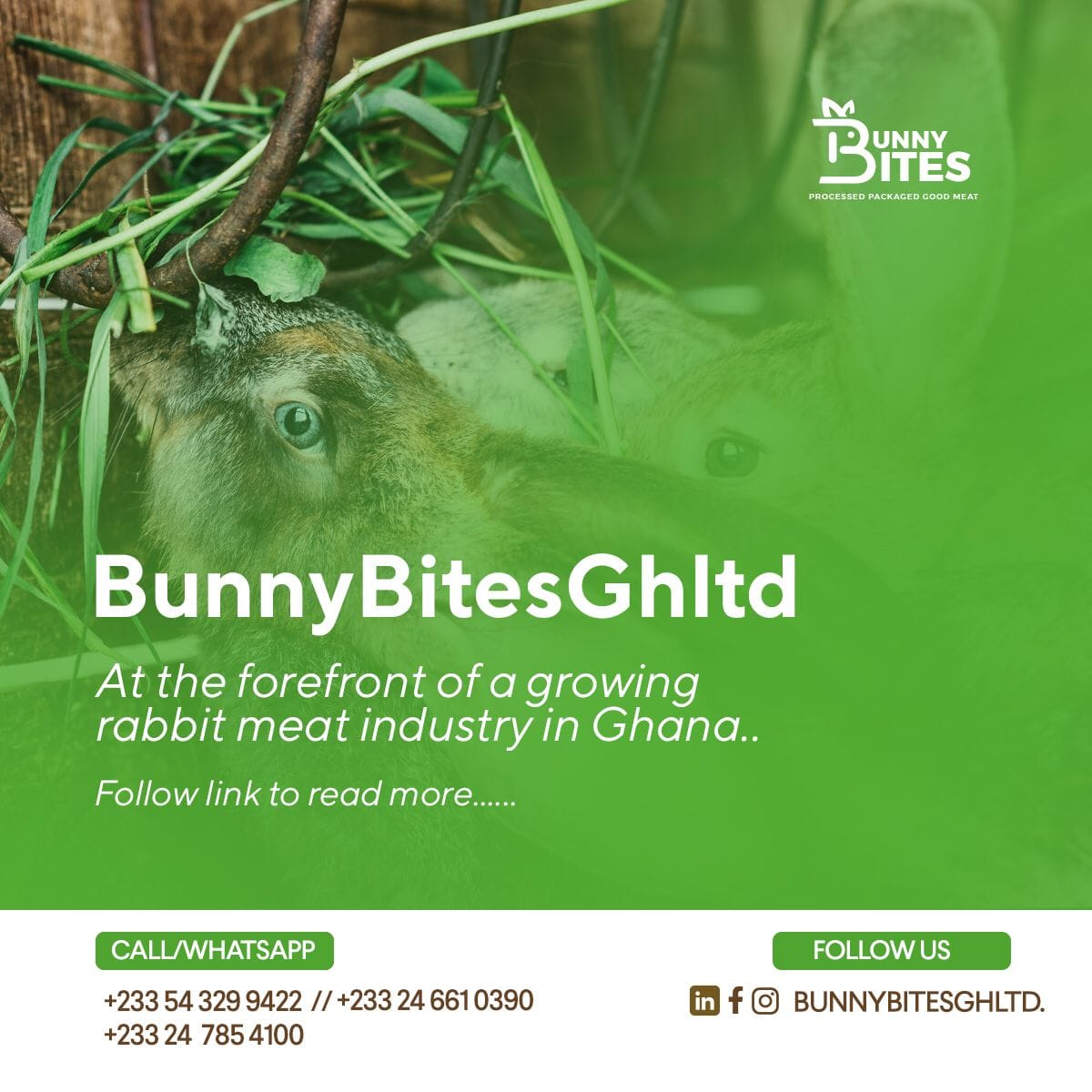 BunnyBites GH. | Kumasi