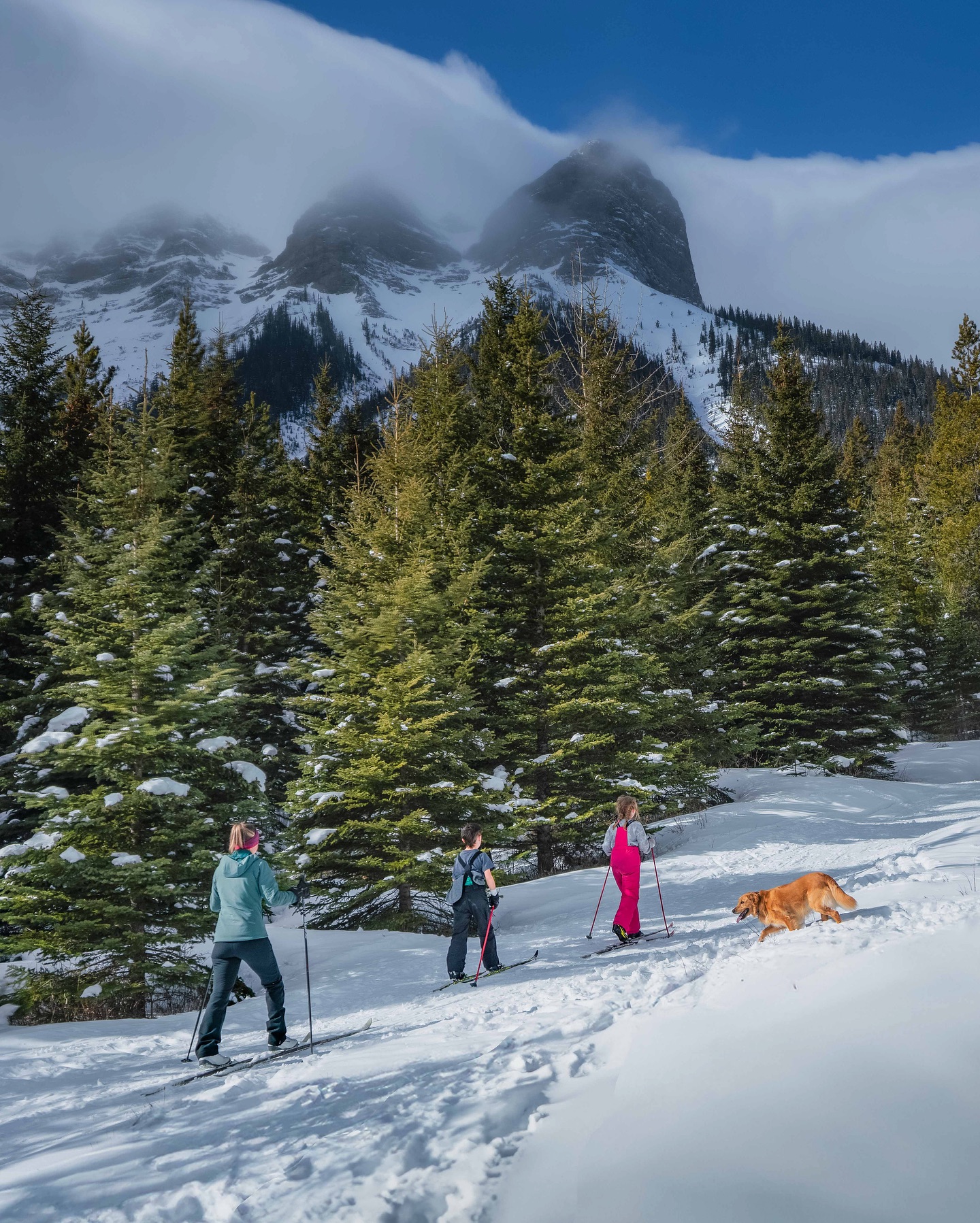 SentryRidge - Crowsnest Pass | Coleman AB