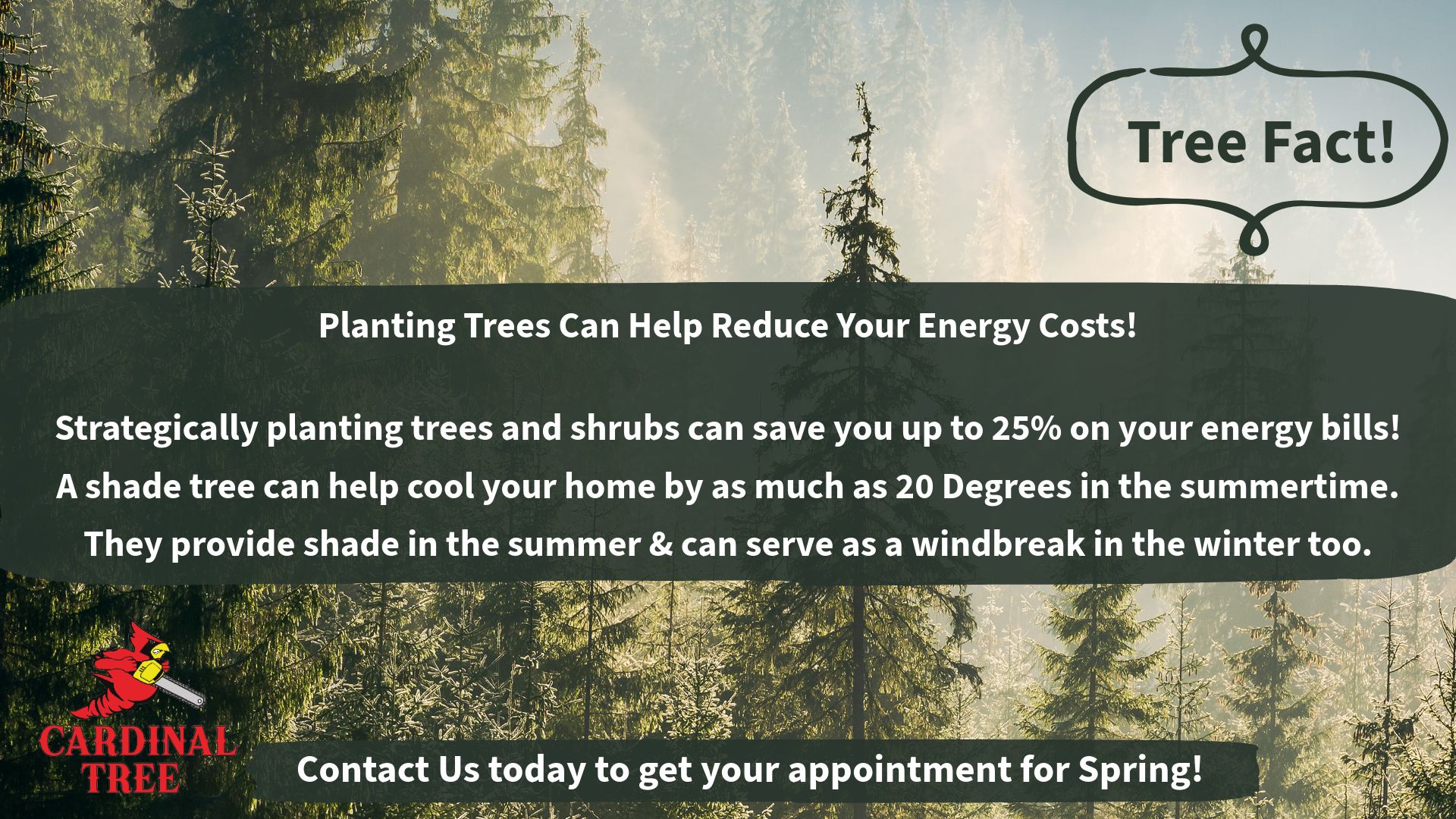 Cardinal Tree Service IL | Newark IL