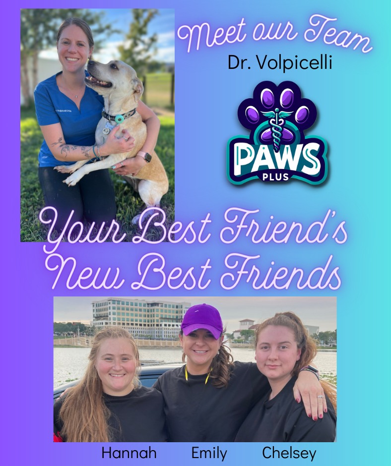 We are excited to announce our team... - Paws Plus Veterinary | Facebook