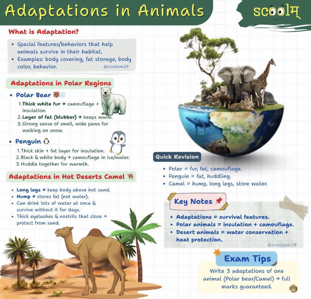 BIOLOGY QUESTION AND ANSWERS | Adaptation in animals refers to the ...