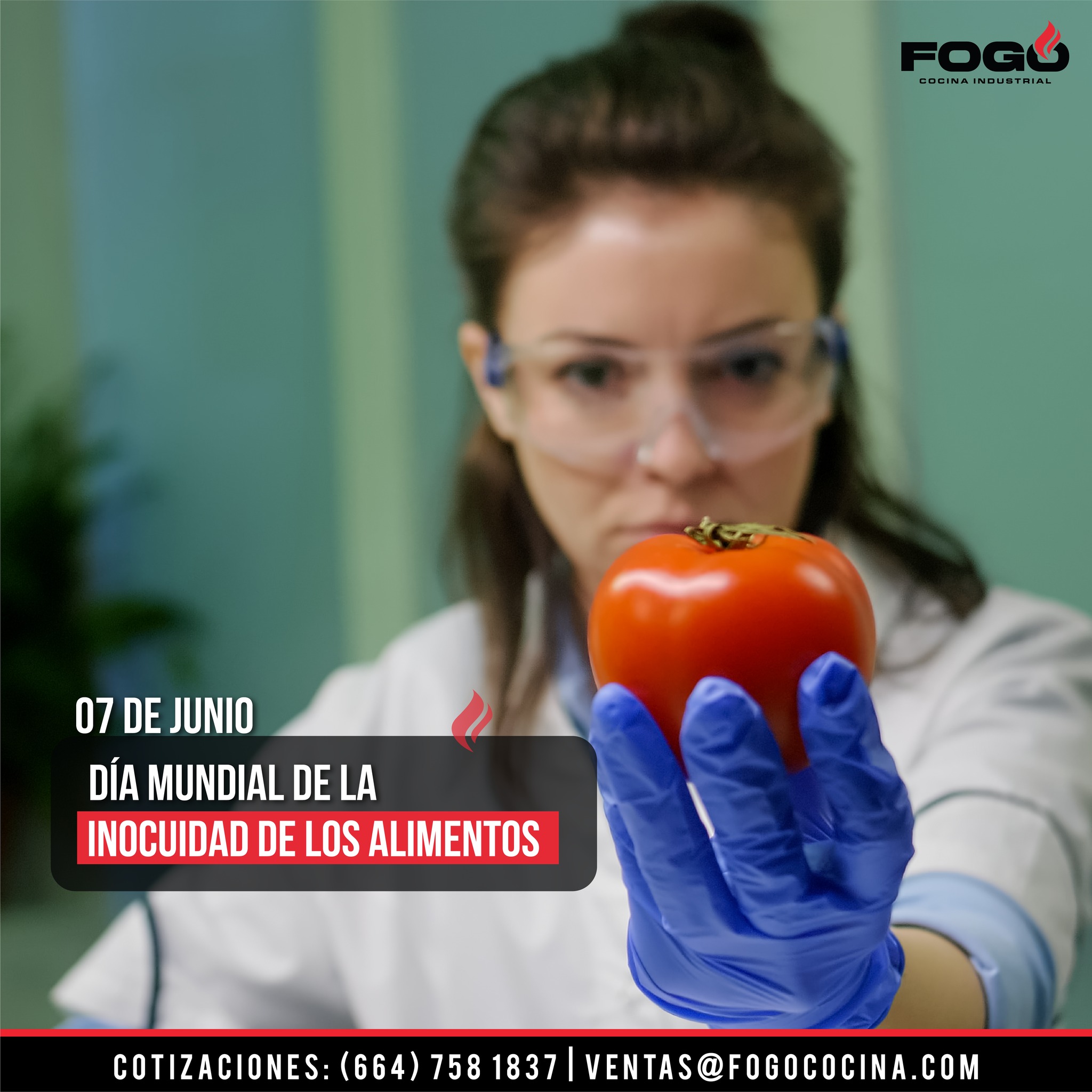 Fogó - ¿Qué es la inocuidad de los alimentos? La inocuidad alimentaria ...