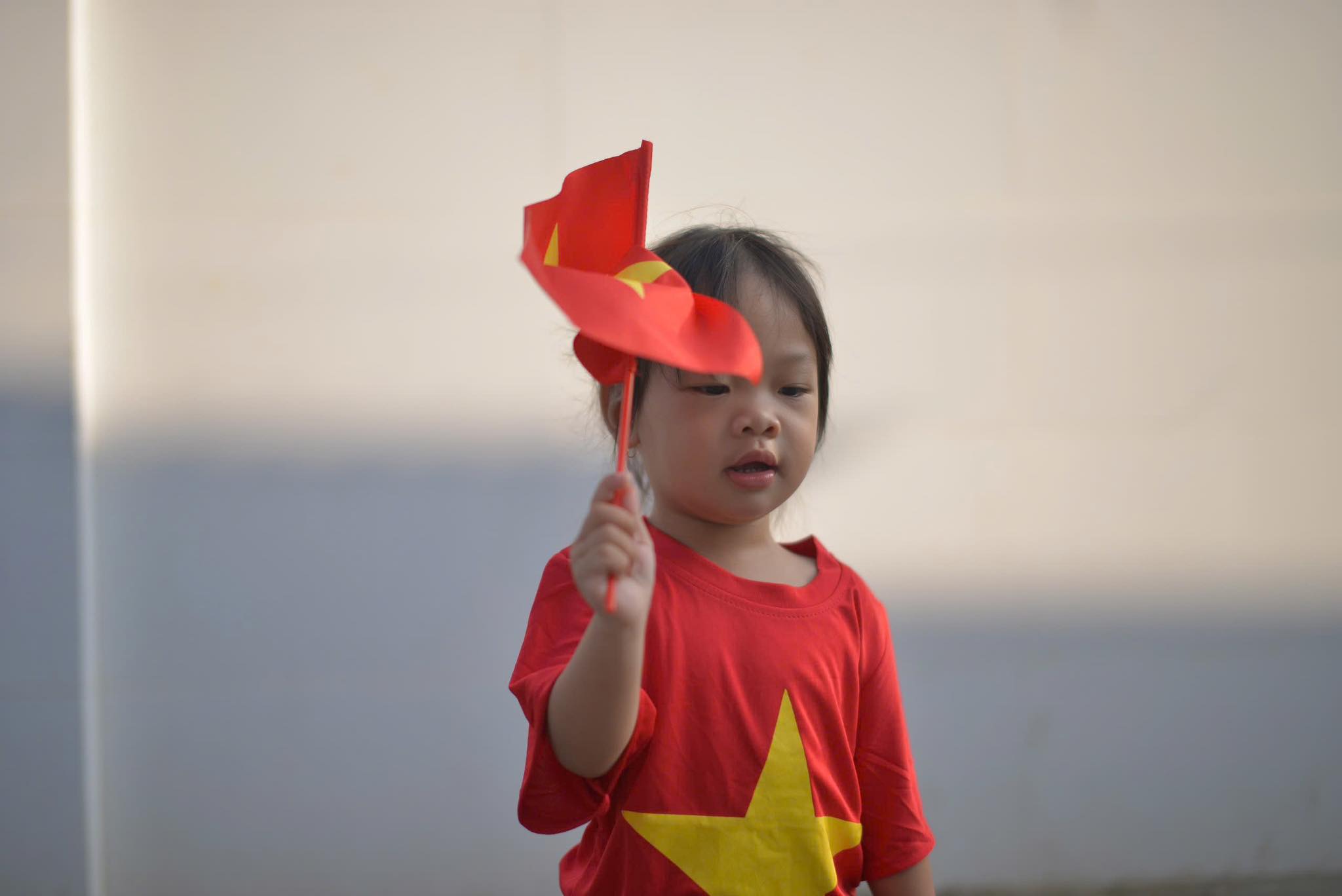 Triệu Vi