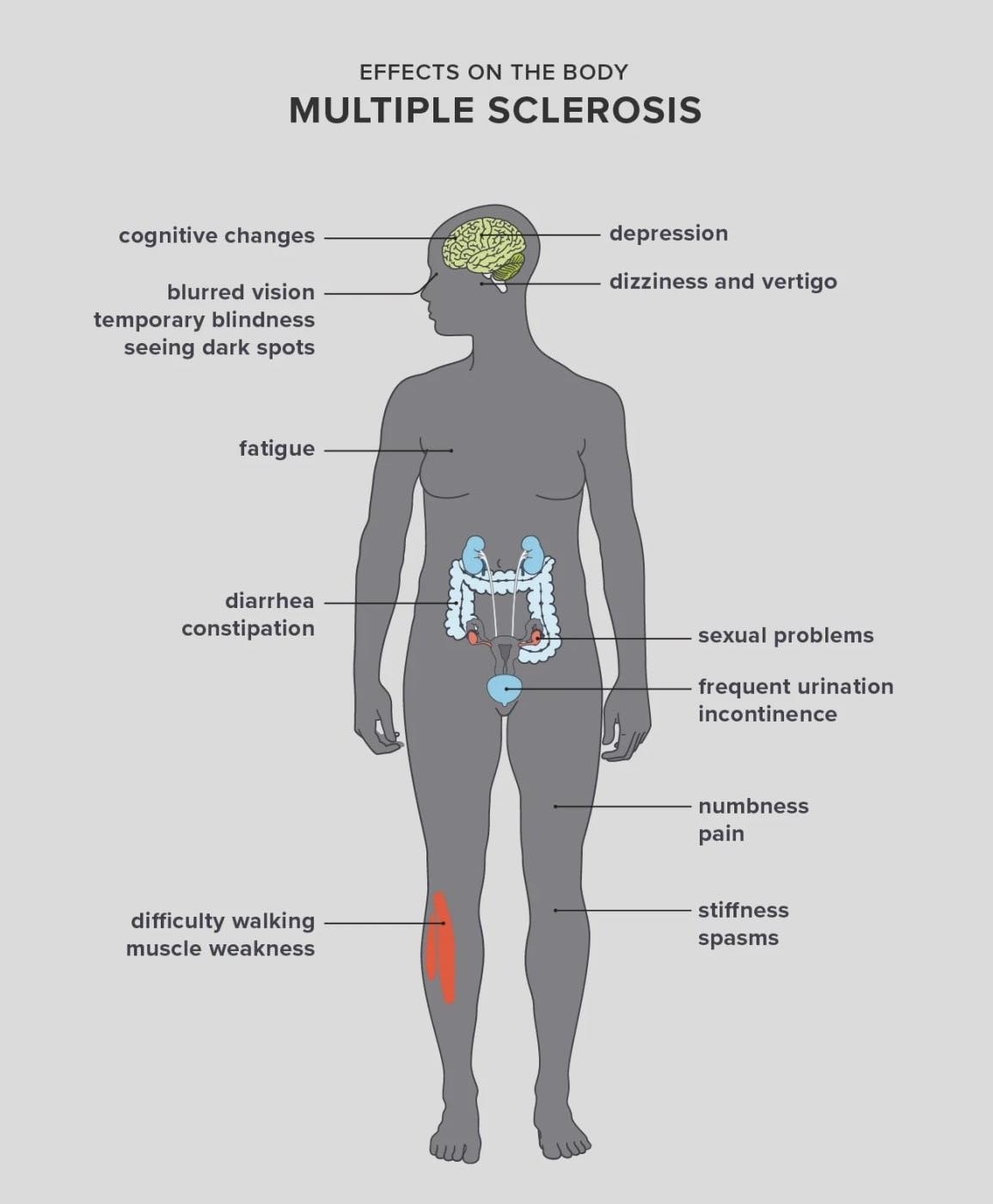 Multiple - MS affects far more than what people see it’s a daily battle ...