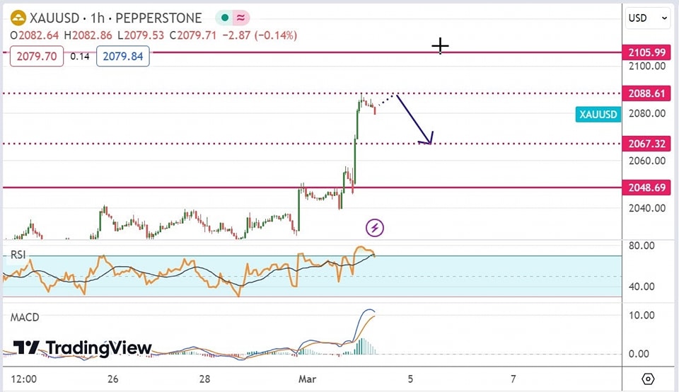 Inter Stellar Forex