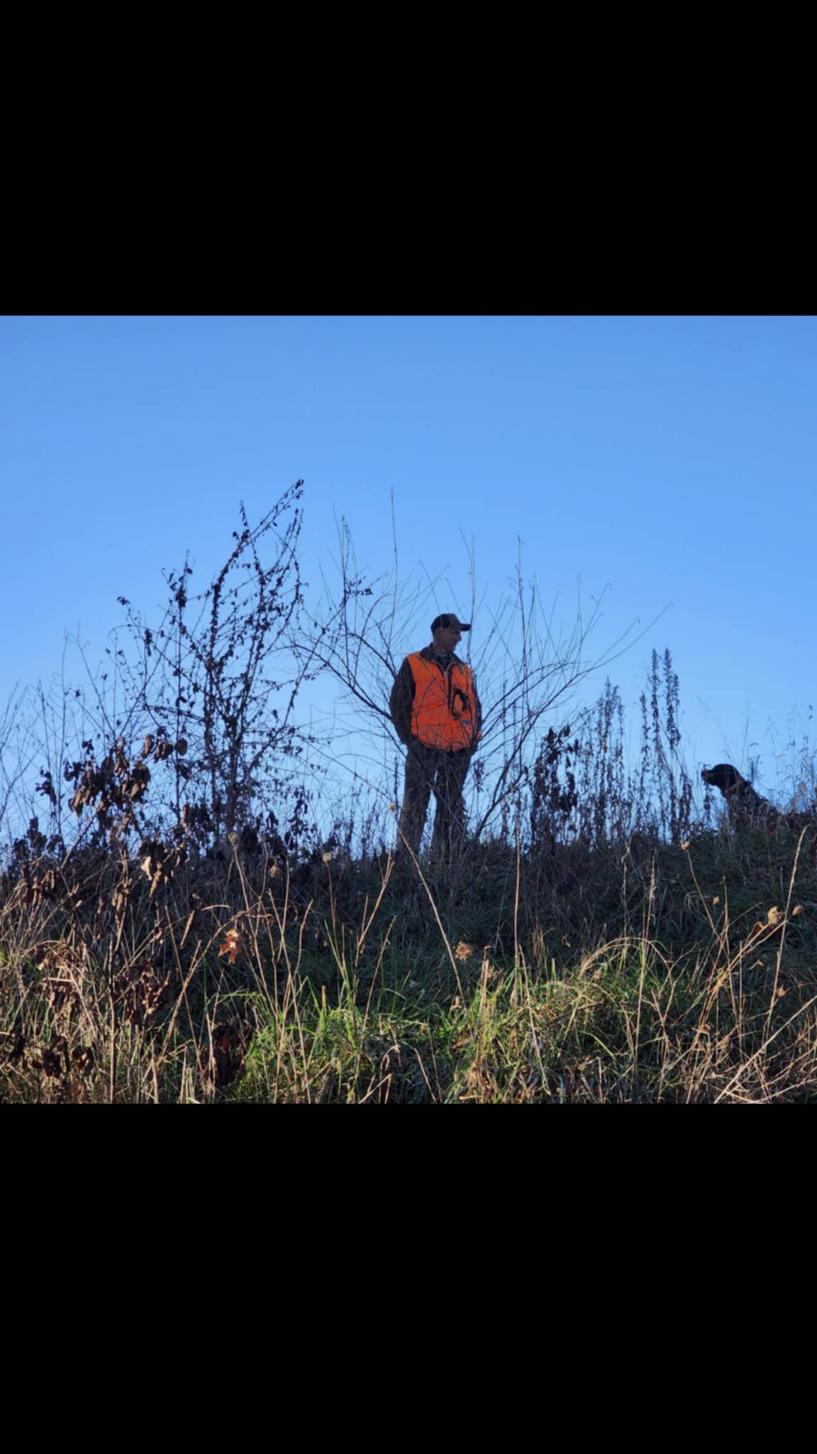 Rack Trackers Deer Recovery | Greenfield IL