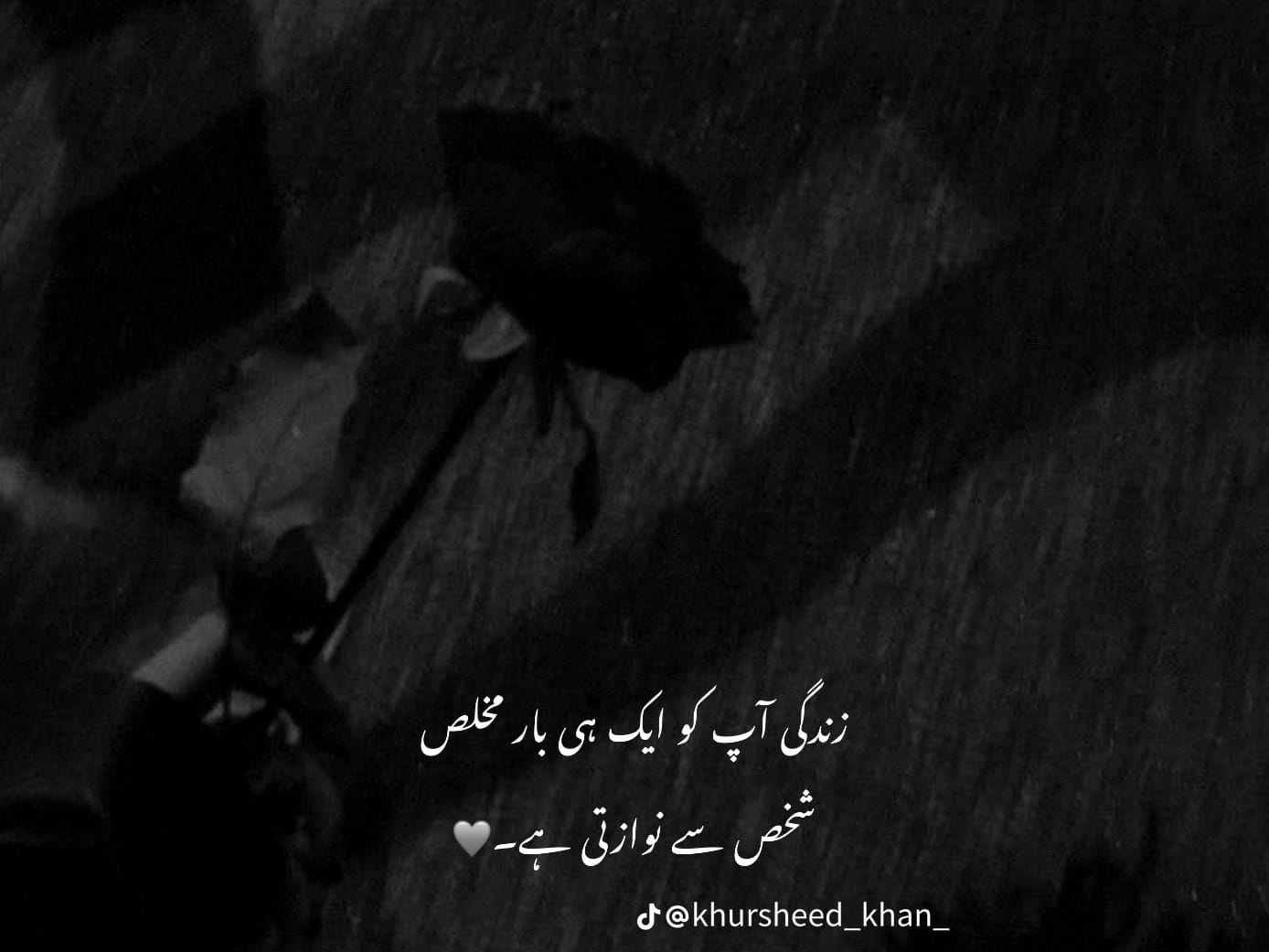 شا یا ن