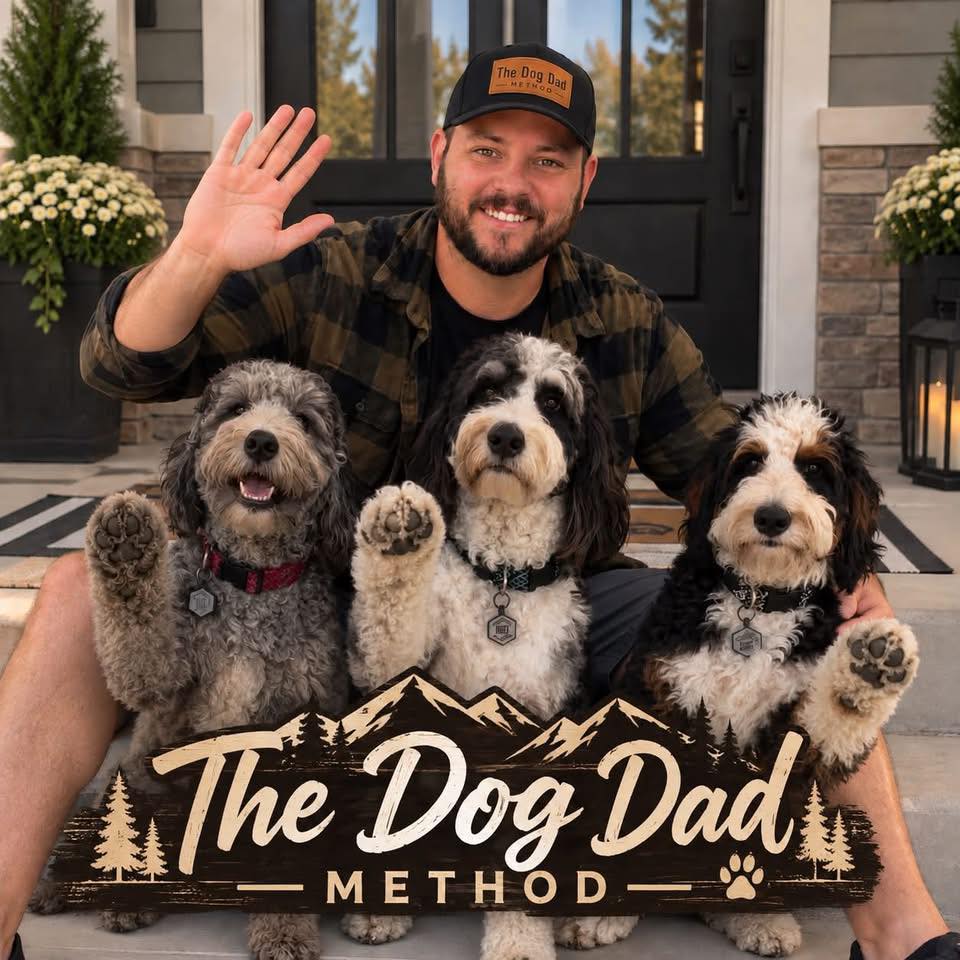I accidentally created a popcorn cartel. 🍿🐶 They have the numbers. They ...