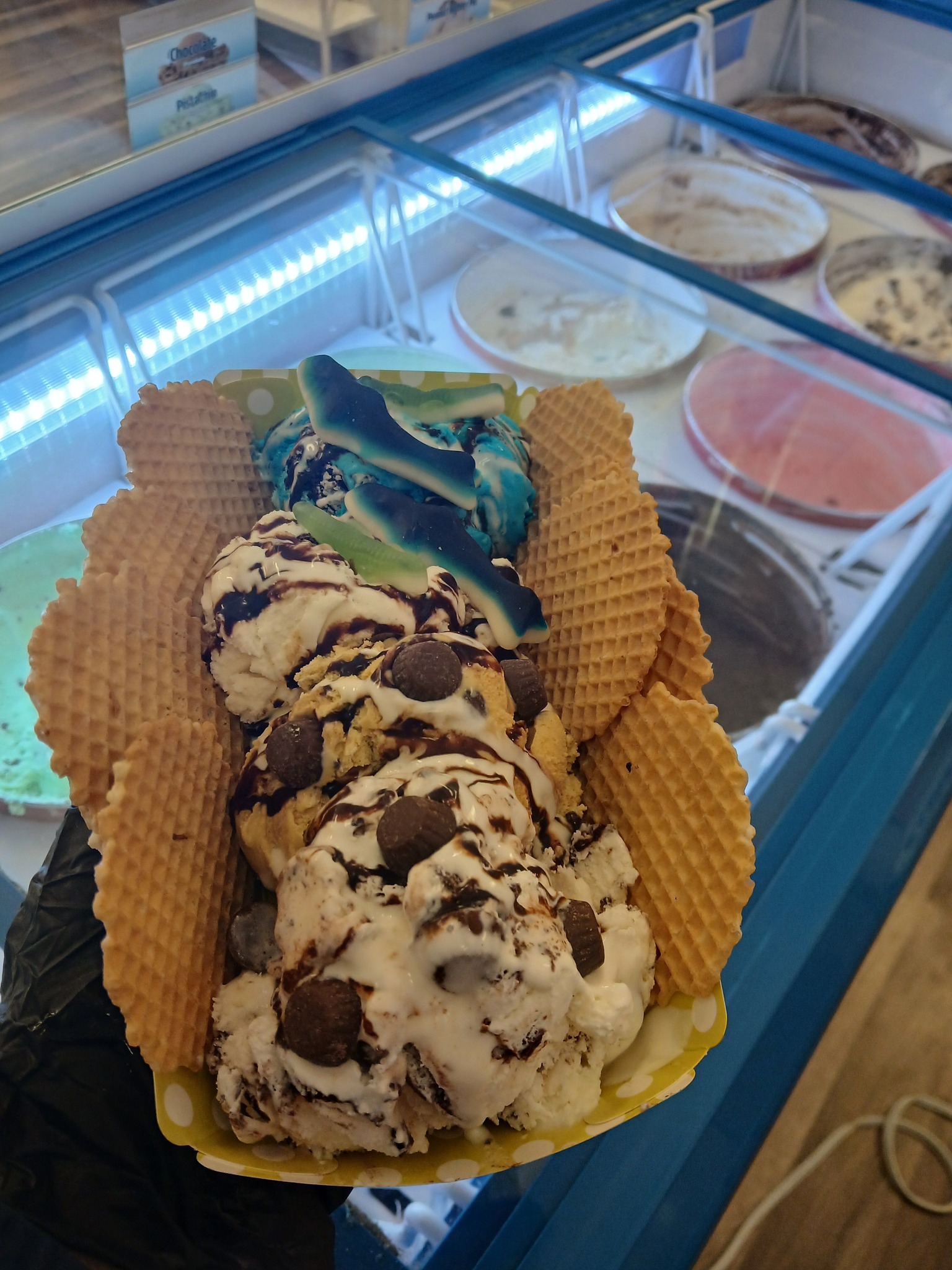 Z Icy Hub for icecream and international treats | Florence AL