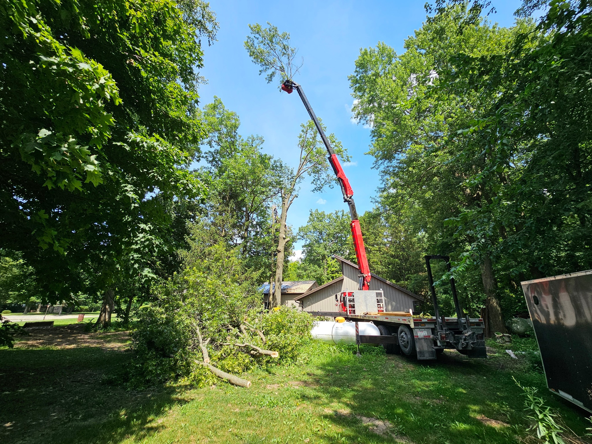 Forest Ridge Tree Service | Bluffton IN