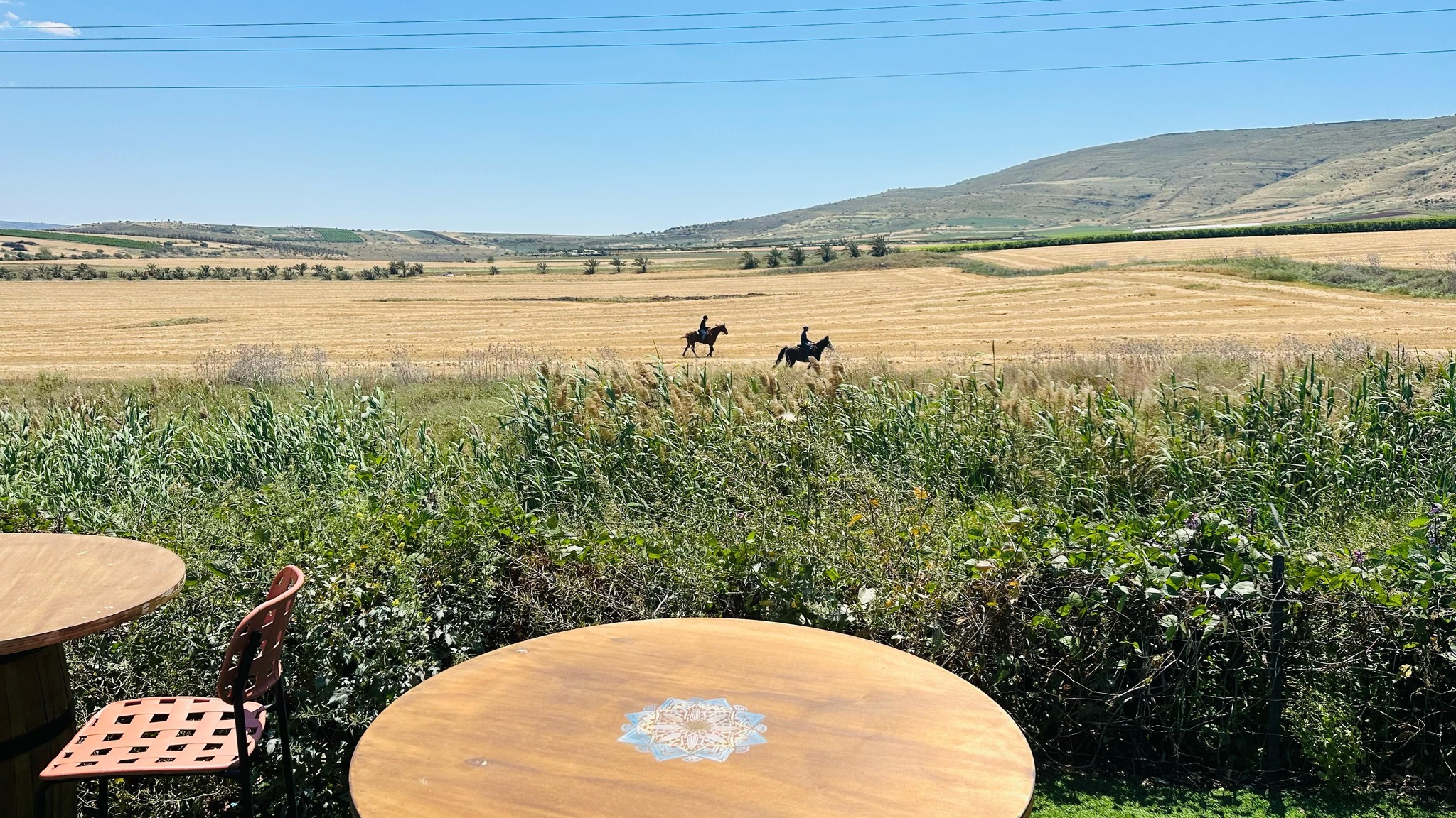 חוות אדמה ושמיים