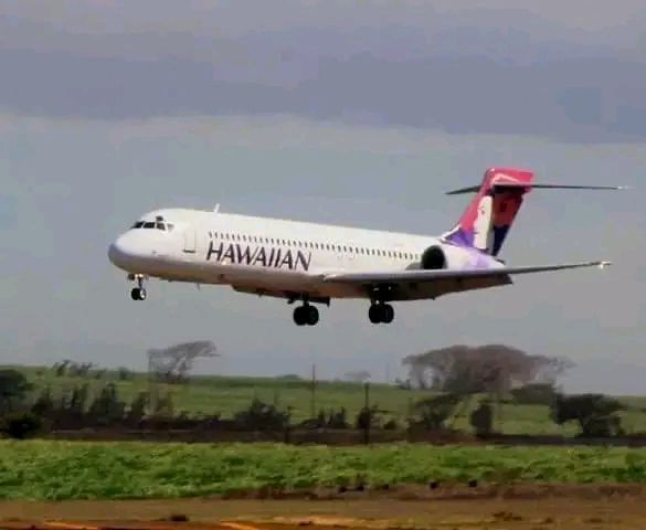 New Lilo and Stitch movie markings on Hawaiian Air Boeing 717