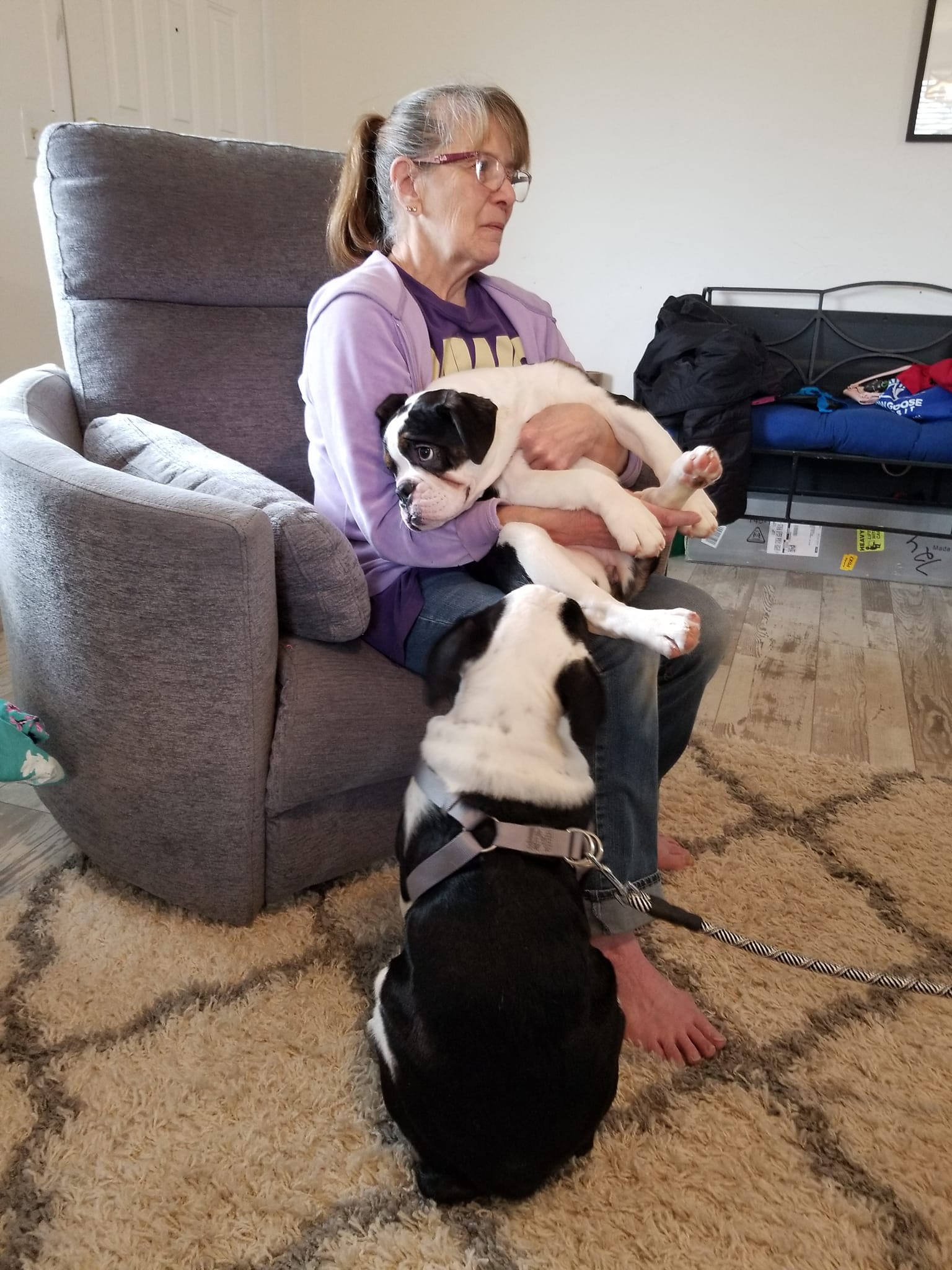 Shelldee Kennels