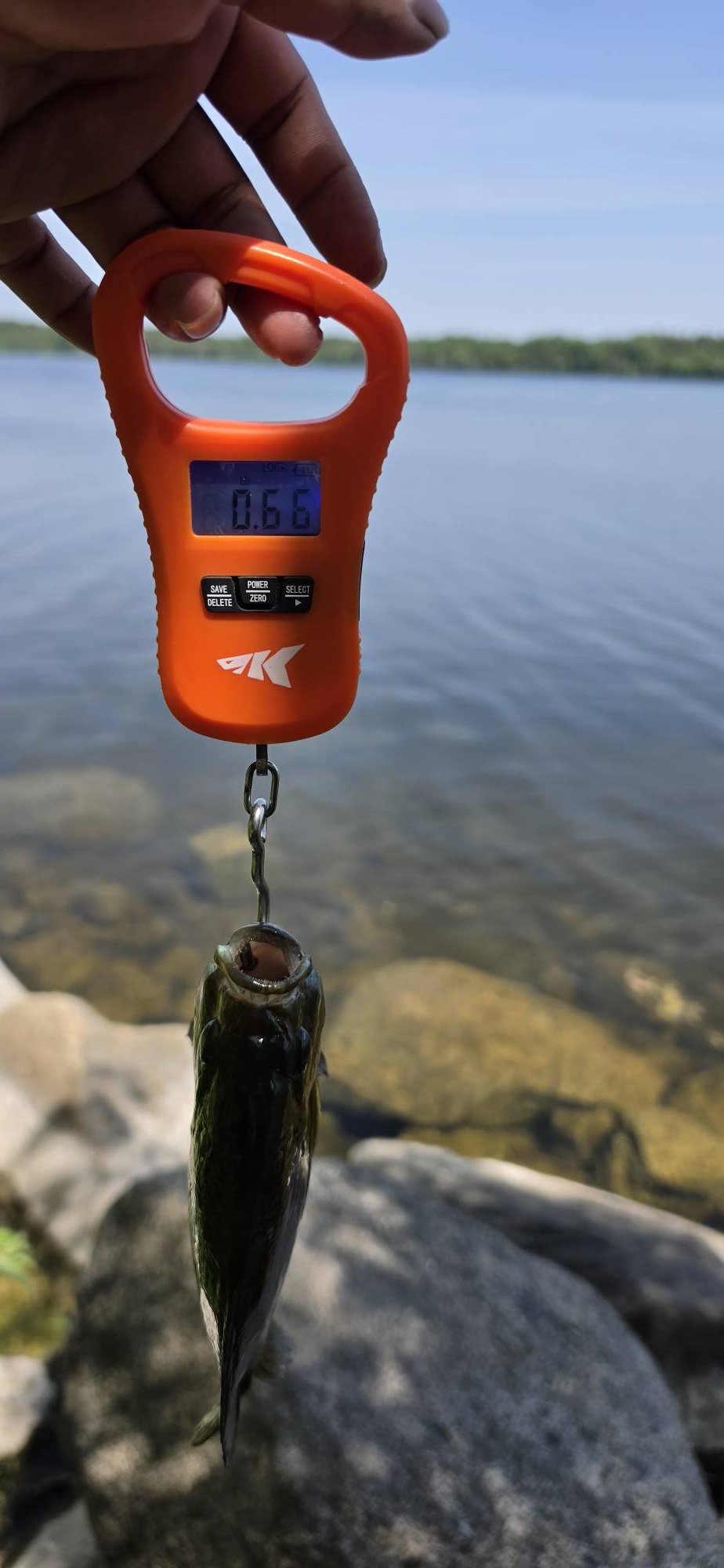 best hook for bluegill fishing 8 PACK - SELECTION 3mm This lineup of hooks offers different sized hooks no matter the size panfish you are chasing Best Baits for Bluegill Fishing