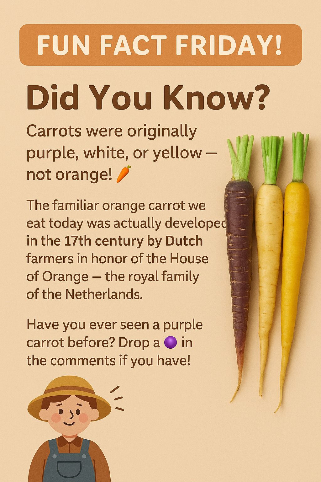 Fun Fact Friday! 🥕 Did You Know? 🧐 Carrots were originally