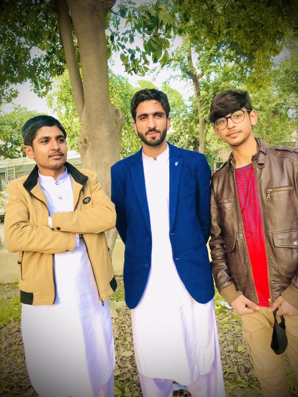 M Shoaib