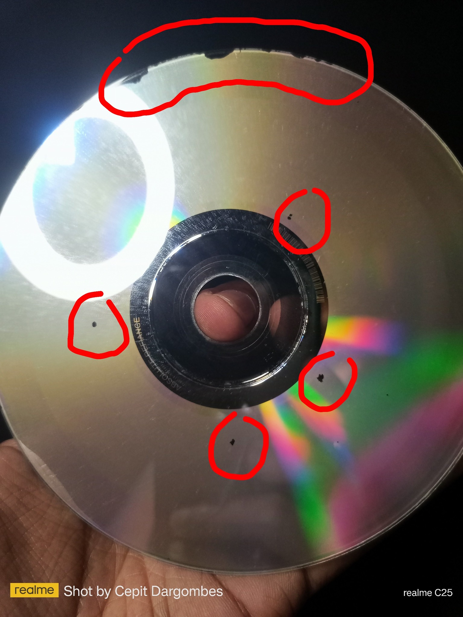 infamous disc rot , is this something alive ??