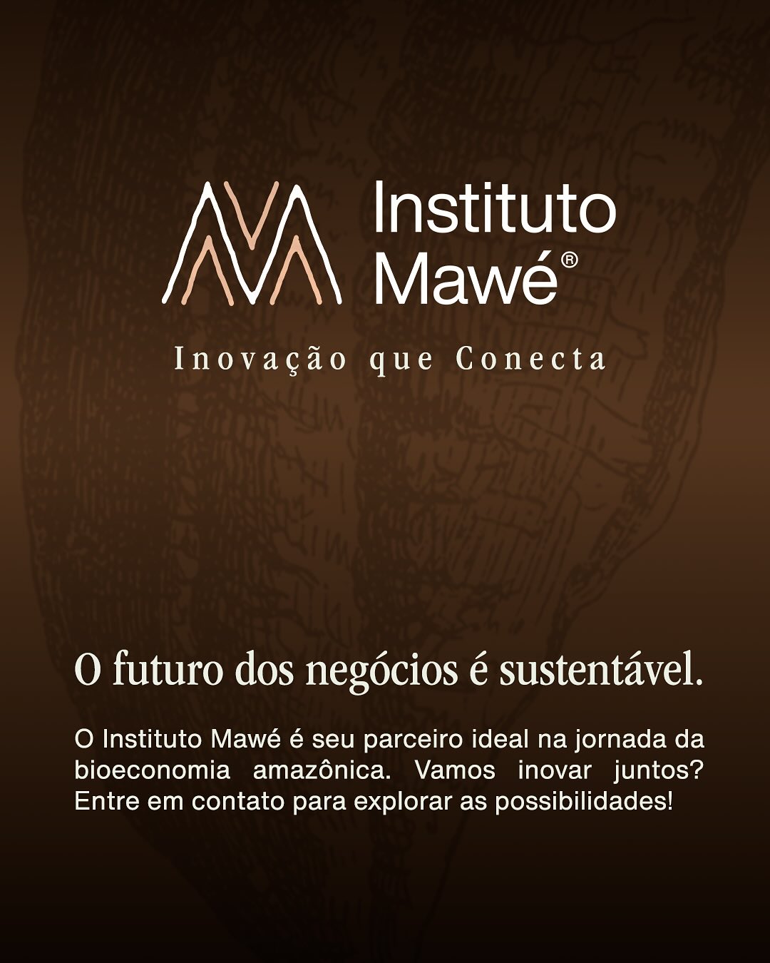 Instituto Mawé