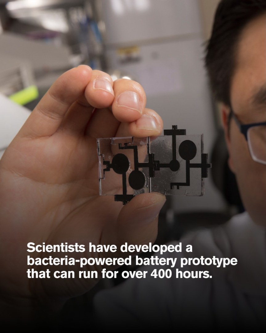 Film - Scientists have created a groundbreaking bacteria-powered ...