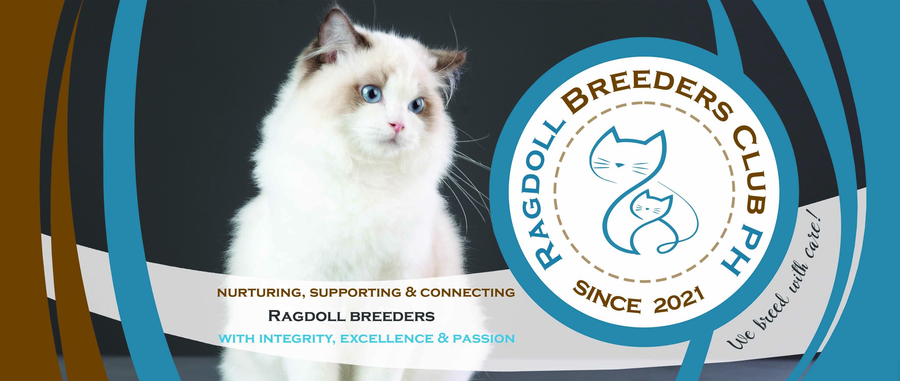Ragdoll Breeders Club PH (Official) | 