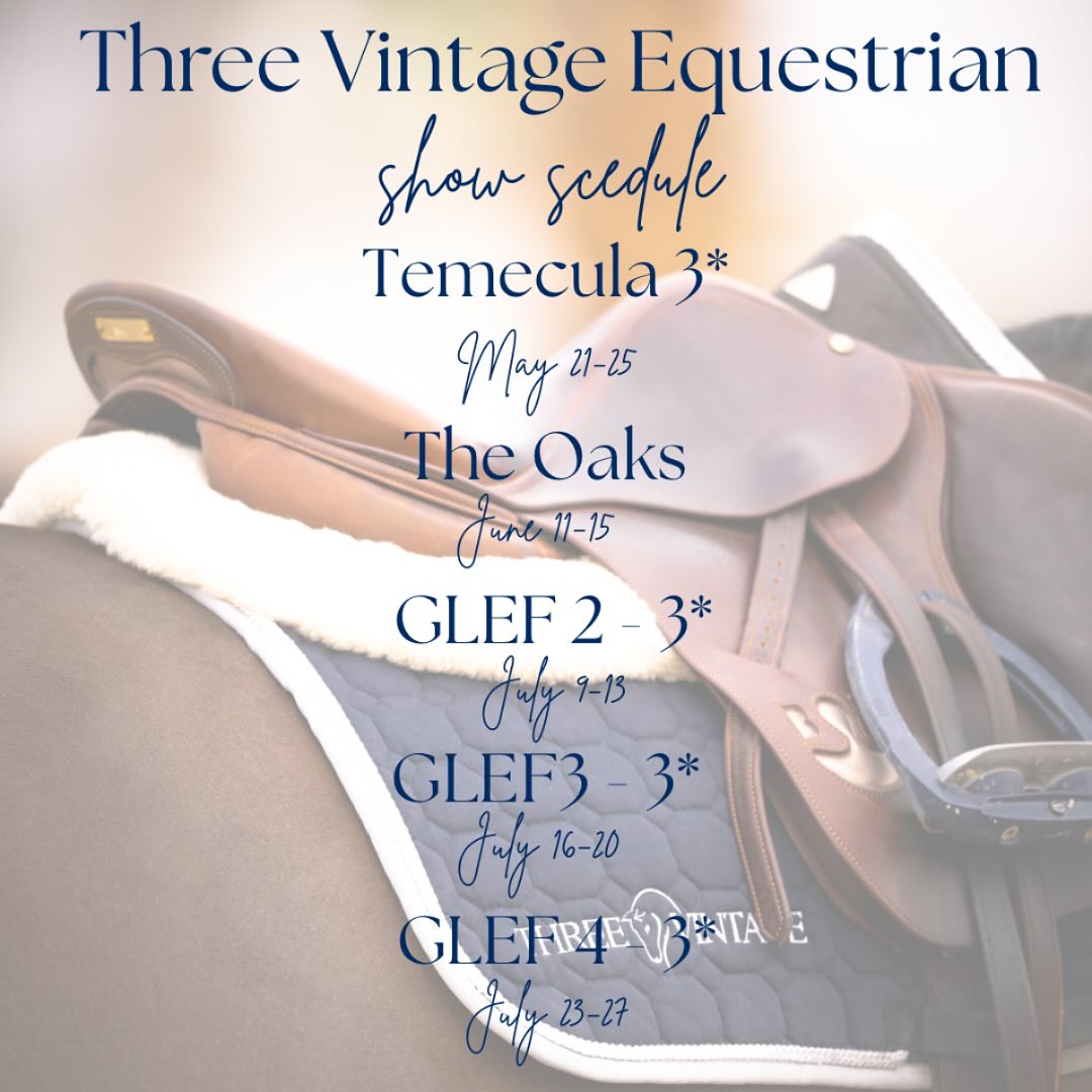 Three Vintage Horses