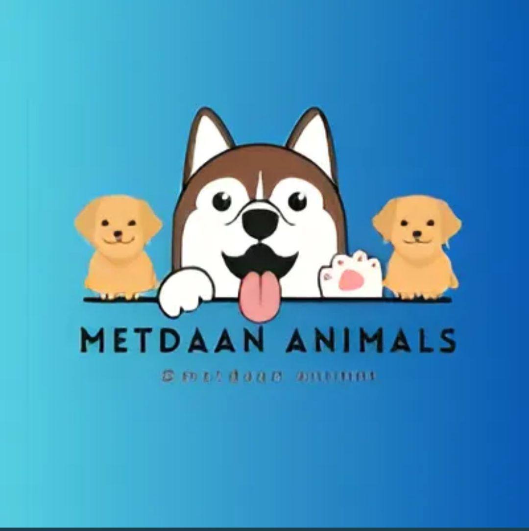 MetDaan Animals... #animallover #animals #viralvideoシfyp #trendingvideo ...