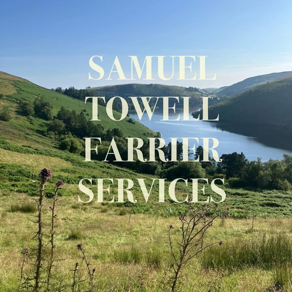 Samuel Towell Farrier Services | Llanidloes