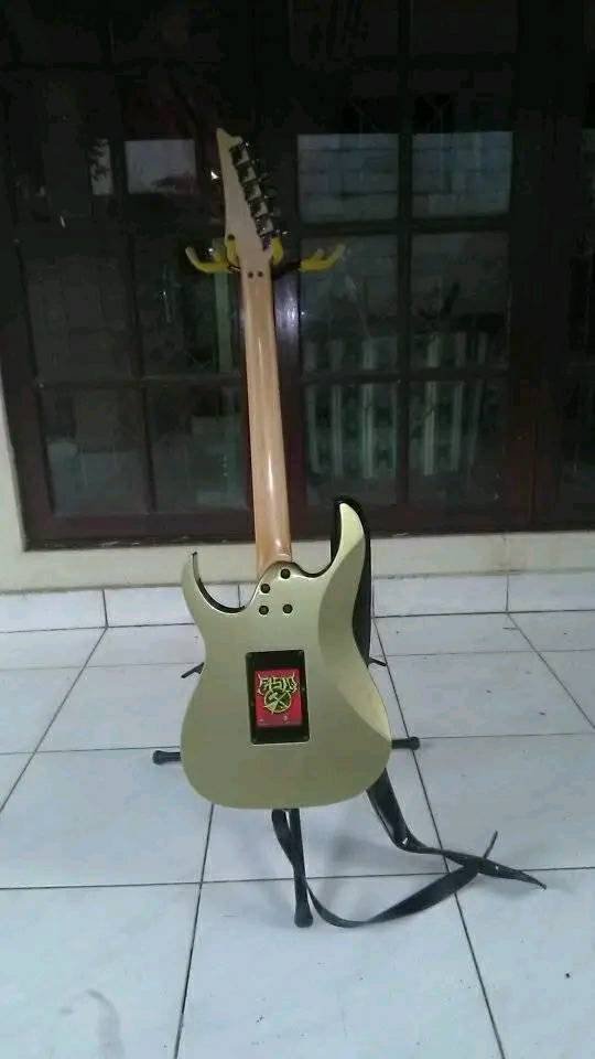 I just have this Ibanez RG350 Grey Nickel Made In Japan. \w/\m/