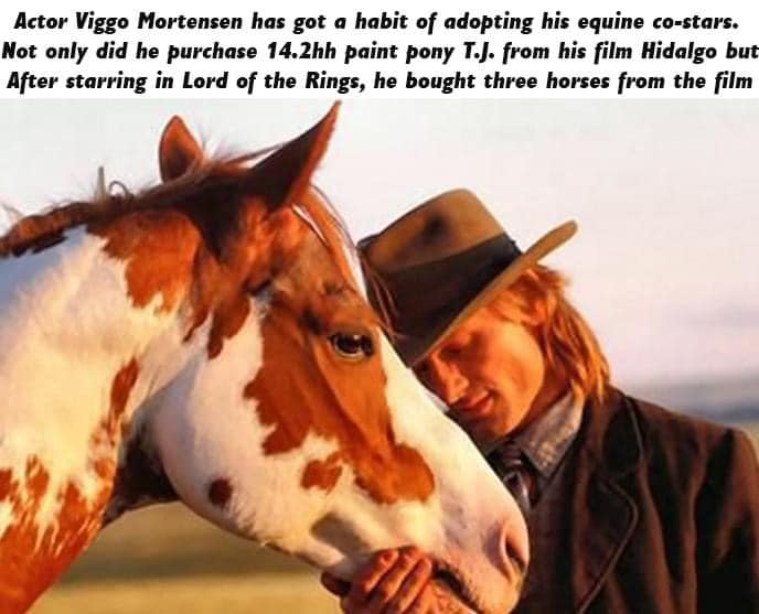 Viggo Mortensen riding TJ the horse who played the title character