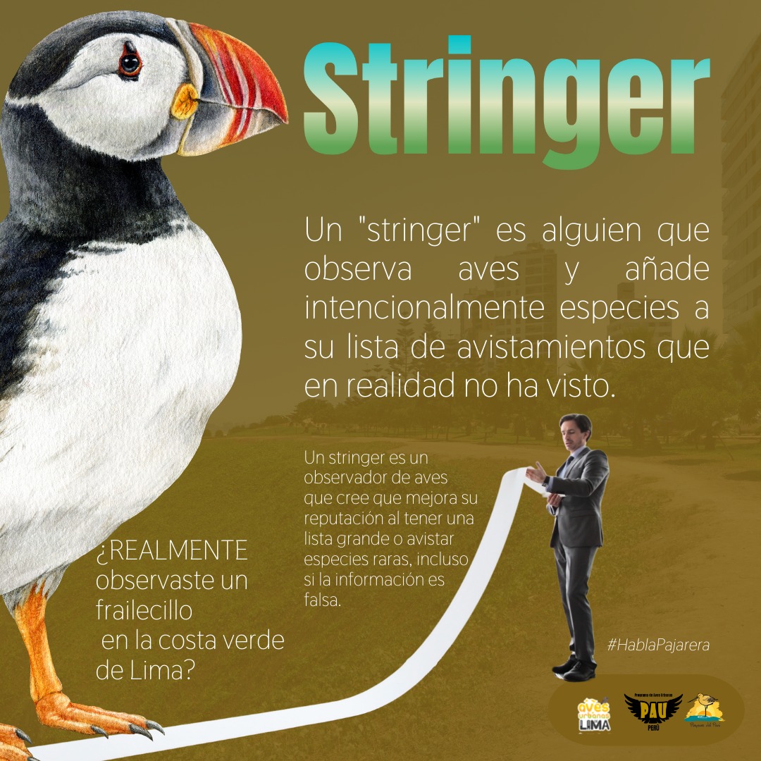 Descubre el... - PAU Perú - Programa de Aves Urbanas