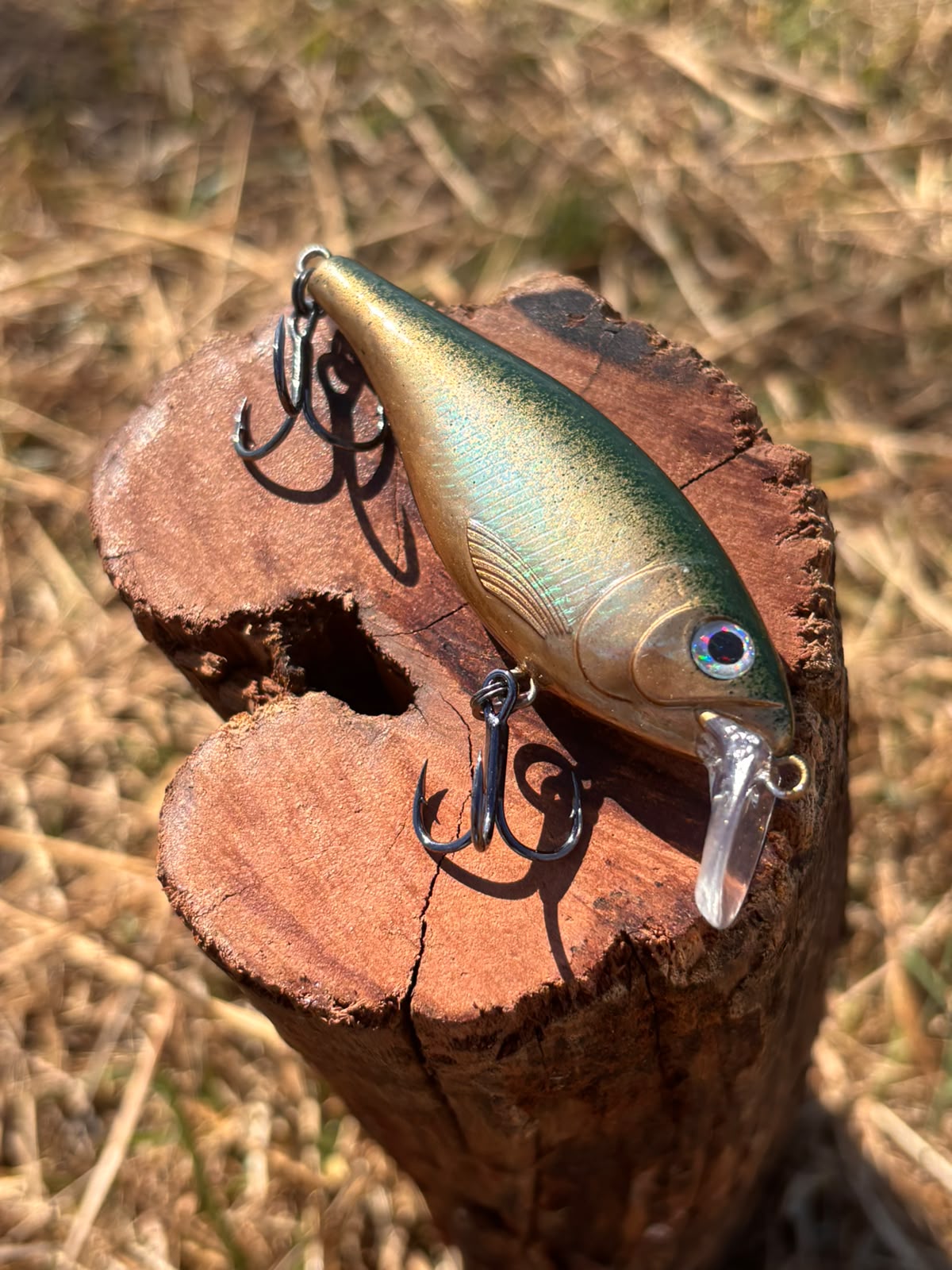 bass pro shop fishing topwater lures GOLURO Frog Lure Set Baitcast Combo The lifelike 3D eyes Dekor:Ayu Abu Garcia Diplomat Fly