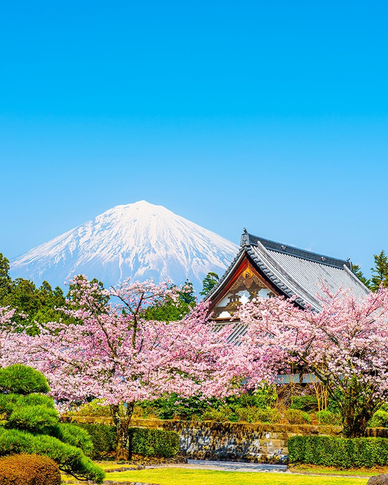 Springtime views of Mount Fuji in Japan