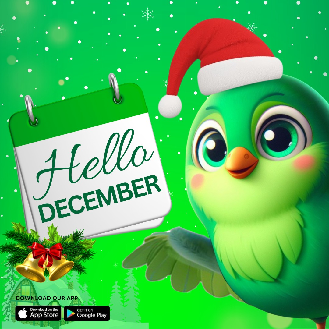 Dory - Hello, December! 🎄 The most magical time of the year is finally ...