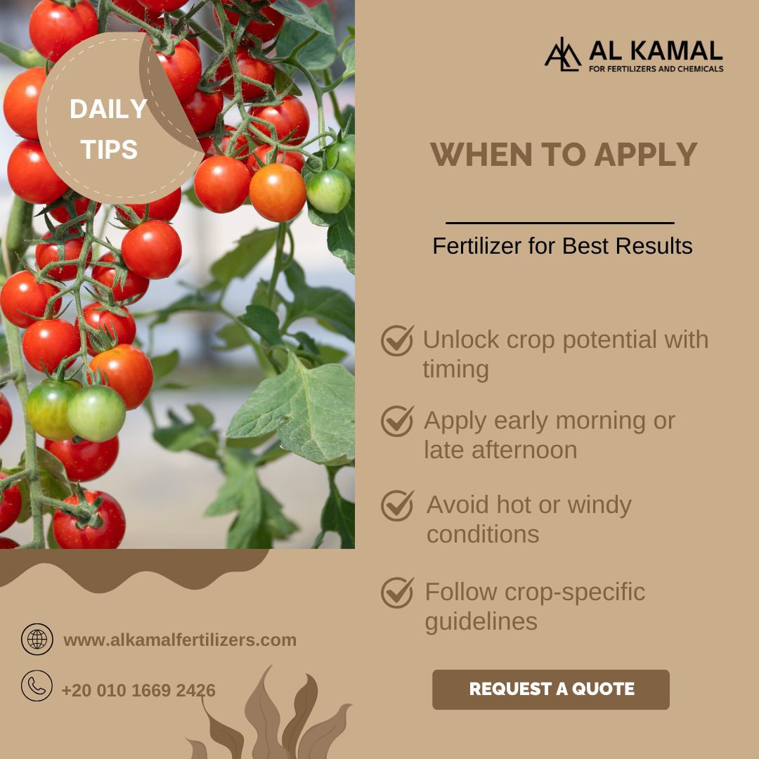 Al - 🌱 When to Apply Fertilizer for Best Results: A Guide ⏰